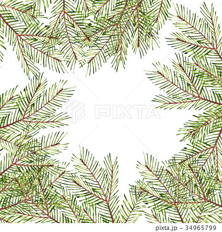 Pattern. Watercolor Christmas tree branches. Hand 34965799