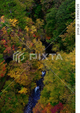 福島の紅葉 中津川渓谷 福島の紅葉 中津川渓谷 34966156