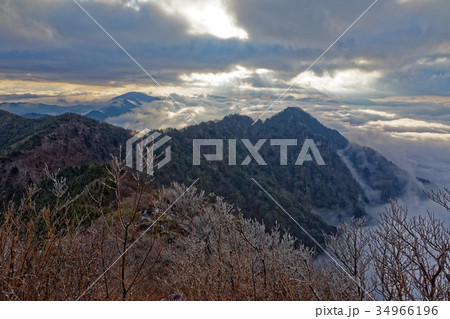 御坂山地・鬼ヶ岳山頂の樹氷と雲海 34966196