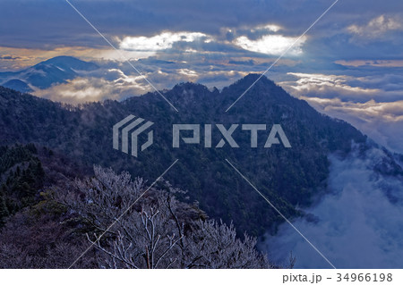 早朝の御坂山地・鬼ヶ岳山頂の樹氷と朝日差す雲海 34966198