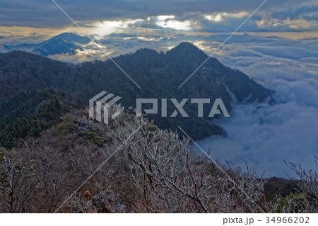 早朝の御坂山地・鬼ヶ岳山頂の樹氷と朝日差す雲海 早朝の御坂山地・鬼ヶ岳山頂の樹氷と朝日差す雲海 34966202