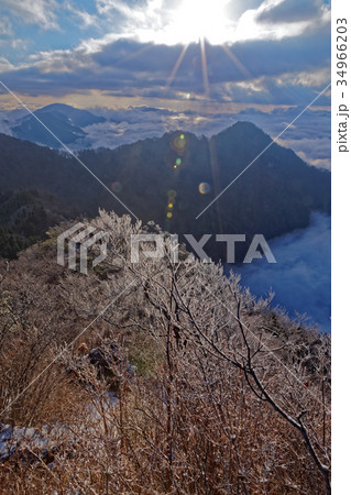 早朝の御坂山地・鬼ヶ岳山頂の樹氷と朝日差す雲海 34966203