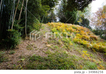 渋野丸山古墳 渋野丸山古墳 34966256