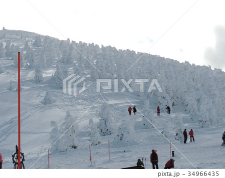 蔵王の樹氷 蔵王の樹氷 34966435