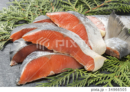 北海道の新鮮な鮭 34966505