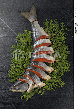 北海道の新鮮な鮭 34966509