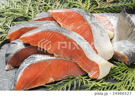 鮭の切身 34966527