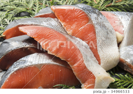 鮭の切身 鮭の切身 34966533