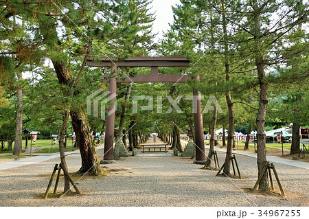 島根県　出雲大社 34967255