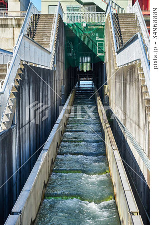 二風谷ダム 魚道 二風谷ダム 魚道 34968889