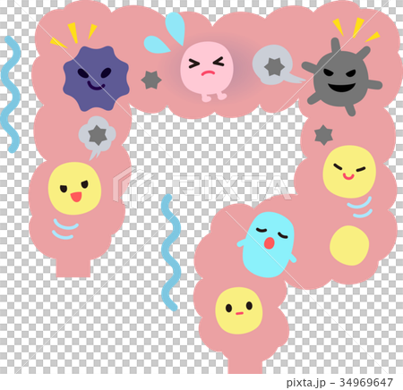 悪玉菌が活発な腸内 悪玉菌が活発な腸内 34969647