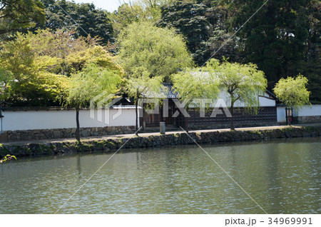 彦根城外堀越しの埋木舎 彦根城外堀越しの埋木舎 34969991