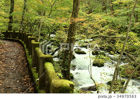 奥入瀬渓流 34970563