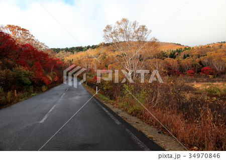 磐梯吾妻スカイライン 紅葉 磐梯吾妻スカイライン 紅葉 34970846