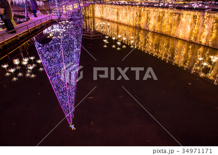 あしかがフラワーパークのイルミネーション　星のタワー 34971171