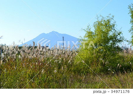 秋の弘前郊外から見る岩木山 34971176