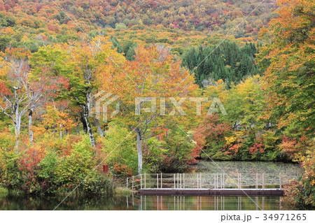 月山地蔵沼の紅葉 月山地蔵沼の紅葉 34971265