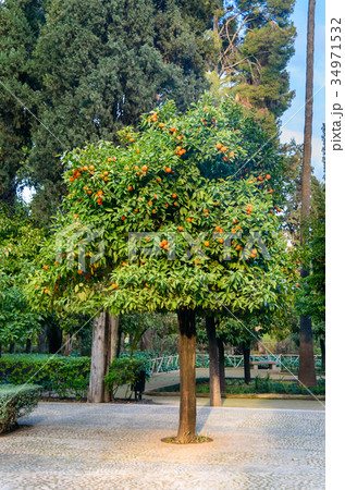 Jardin Jnan Sbil, Royal Garden in Fes. Morroco 34971532