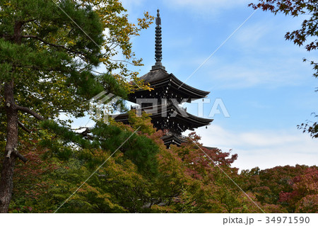 五重塔と紅葉 34971590
