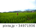 A woman, tourism enjoy on beautiful rice field 34971936