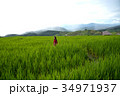 A woman, tourism enjoy on beautiful rice field 34971937