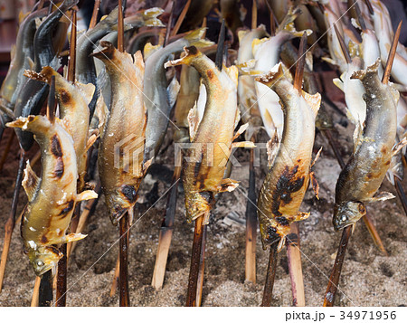 鮎の塩焼き 34971956