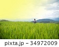 A woman, tourism enjoy on beautiful rice field 34972009