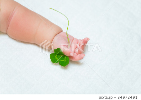 赤ちゃんの手と緑 34972491