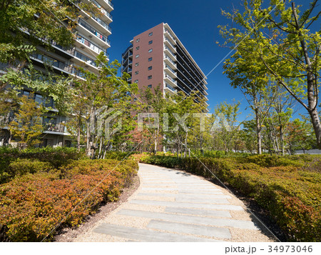 緑に囲まれたマンション 緑に囲まれたマンション 34973046