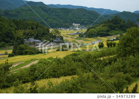 長谷の棚田 34973289