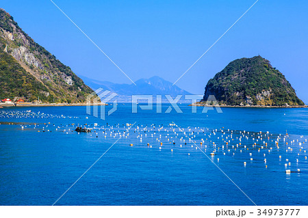 三角ノ瀬戸 海苔養殖風景　天草 34973777