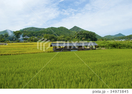 大阪府能勢の田園風景 大阪府能勢の田園風景 34973845