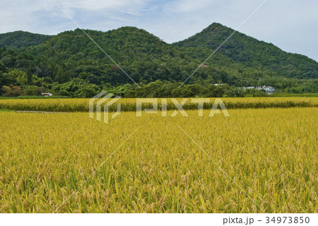 大阪府能勢の田園風景 大阪府能勢の田園風景 34973850
