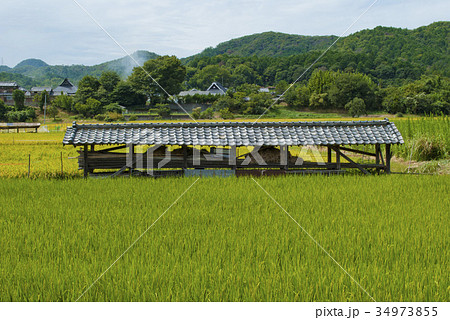 大阪府能勢の田園風景 大阪府能勢の田園風景 34973855