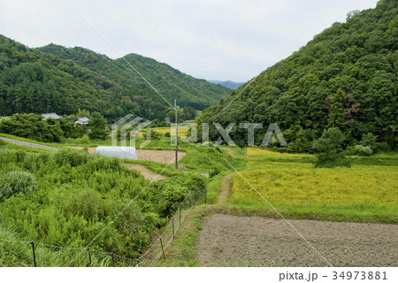 大阪府能勢の田園風景 大阪府能勢の田園風景 34973881