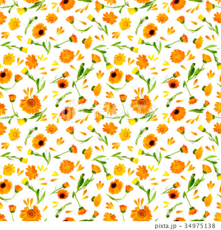 Seamless pattern with flowers calendula 34975138