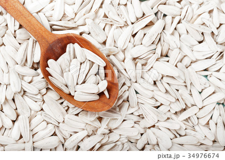 white sunflower seeds white sunflower seeds 34976674