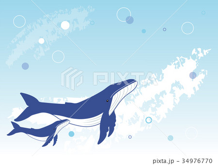 クジラの親子2のイラスト素材