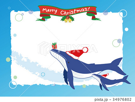 クジラのクリスマスカード 34976802