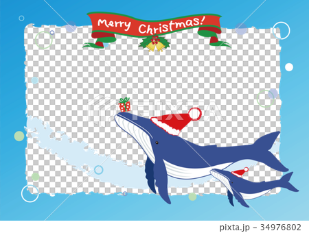 クジラのクリスマスカード 34976802