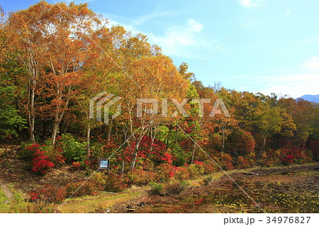 志賀高原の紅葉 志賀高原の紅葉 34976827