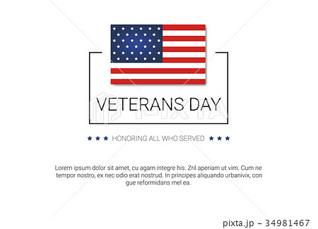 Veterans Day Celebration National American Holiday 34981467