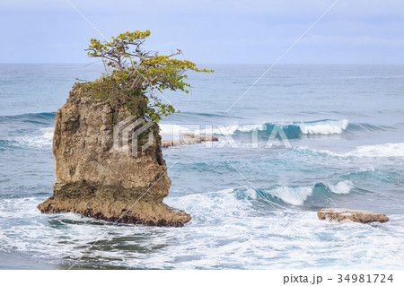 Rock formation at Manzanillo Costa Rica Rock formation at Manzanillo Costa Rica 34981724