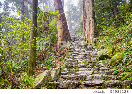 Kumano Kodo Trail in Japan Kumano Kodo Trail in Japan 34985128