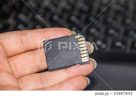 Hand holding SD card on laptop background Hand holding SD card on laptop background 34987645