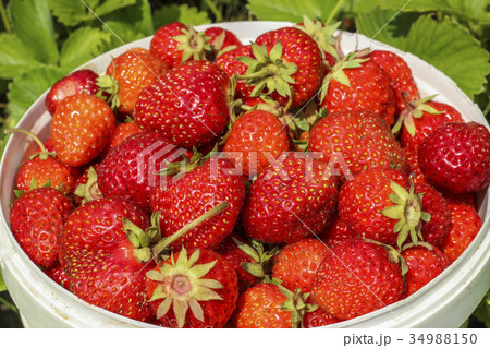 Ripe strawberries 34988150