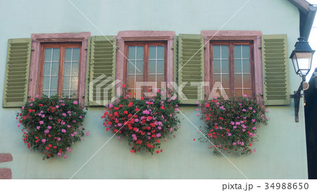retail of historical windows with geraniums  34988650