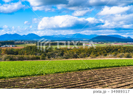 《北海道》道東・田園風景《秋》 《北海道》道東・田園風景《秋》 34989317