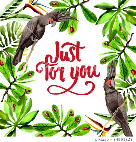 Sky bird black macaw frame in a wildlife by Sky bird black macaw frame in a wildlife by 34991328