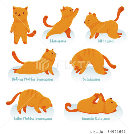 Cartoon red cat practicing yoga 34991641